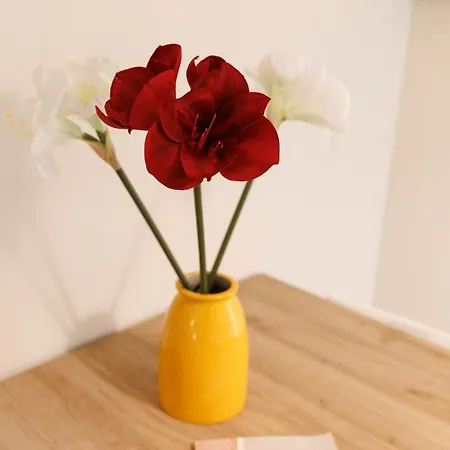 Apartment Casa Nicole Elegante Monolocale A Collegno Turin