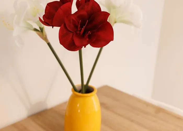 Daire Casa Nicole Elegante Monolocale A Collegno Torino